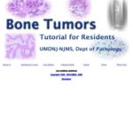 خرید و دانلود نسخه کامل کتاب Bone tumors. Tutorial for residents