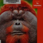 خرید و دانلود نسخه کامل کتاب Borneo: Sabah, Sarawak, Brunei: The Bradt Travel Guide