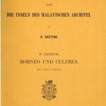 خرید و دانلود نسخه کامل کتاب Borneo und Celebes