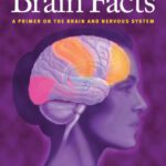 خرید و دانلود نسخه کامل کتاب Brain Facts A Primer on the Brain and Nervous System – The Society for Neuroscience