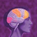 خرید و دانلود نسخه کامل کتاب Brain Facts: A Primer on the Brain and Nervous System