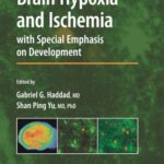 خرید و دانلود نسخه کامل کتاب Brain Hypoxia and Ischemia: with Special Emphasis on Development