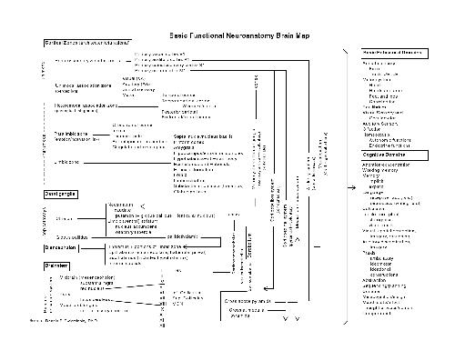 خرید و دانلود نسخه کامل کتاب Brain Map Main_68bc2dd065164.jpeg خرید و دانلود نسخه کامل کتاب Brain Map Main