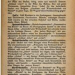 خرید و دانلود نسخه کامل کتاب Bregenz am Bodensee : Topografische Studie
