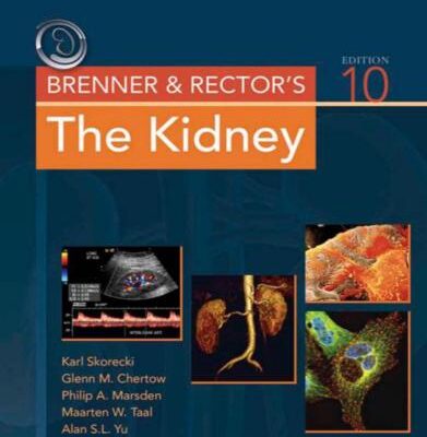 خرید و دانلود نسخه کامل کتاب Brenner & Rector’s the kidney. Part 1