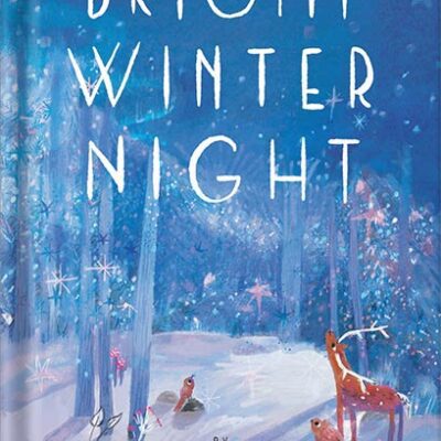 خرید و دانلود نسخه کامل کتاب Bright Winter Night by Alli Brydon