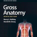 خرید و دانلود نسخه کامل کتاب BRS Gross Anatomy