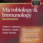 خرید و دانلود نسخه کامل کتاب BRS Microbiology and Immunology