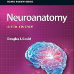 خرید و دانلود نسخه کامل کتاب BRS Neuroanatomy (Board Review Series) 6th Edition – Original PDF