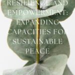 خرید و دانلود نسخه کامل کتاب Building Resilience and Empowerment Expanding Capacities for sustainable peace