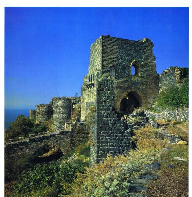 خرید و دانلود نسخه کامل کتاب Burgen der Kreuzritter im Heiligen Land, auf Zypern und in der Ägäis