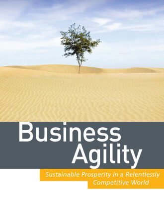 خرید و دانلود نسخه کامل کتاب Business Agility: Sustainable Prosperity in a Relentlessly Competitive World (Microsoft Executive Leadership Series)