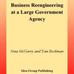 خرید و دانلود نسخه کامل کتاب Business Reengineering at a Large Government Agency
