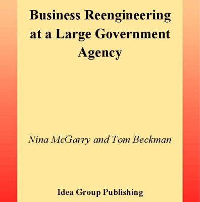 خرید و دانلود نسخه کامل کتاب Business Reengineering at a Large Government Agency
