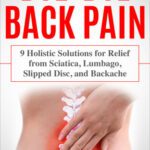 خرید و دانلود نسخه کامل کتاب Bye-Bye Back Pain: 9 Holistic Solutions for Relief from Sciatica, Lumbago, Slipped Disc, and Backache