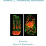 خرید و دانلود نسخه کامل کتاب C4 Photosynthesis and Related CO2 Concentrating Mechanisms