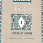 خرید و دانلود نسخه کامل کتاب Cálculos con vectores