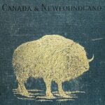 خرید و دانلود نسخه کامل کتاب Canada & Newfoundland