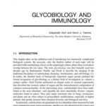 خرید و دانلود نسخه کامل کتاب Carbohydrate-Based Vaccines and Immunotherapies