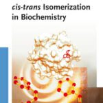 خرید و دانلود نسخه کامل کتاب Carbon-Rich Compounds: From Molecules to Materials