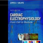 خرید و دانلود نسخه کامل کتاب Cardiac Electrophysiology From Cell to Bedside Part 2