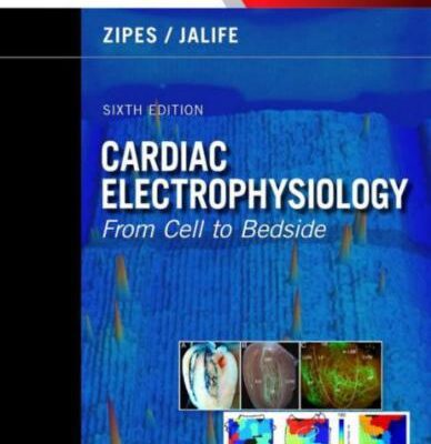 خرید و دانلود نسخه کامل کتاب Cardiac Electrophysiology From Cell to Bedside Part 2