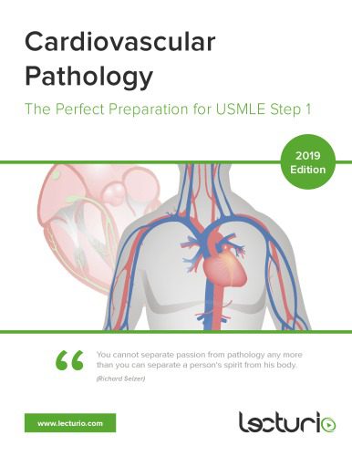 خرید و دانلود نسخه کامل کتاب Cardiovascular Pathology The Perfect Preparation for USMLE Step 1_68baa6b5b5c1d.jpeg خرید و دانلود نسخه کامل کتاب Cardiovascular Pathology The Perfect Preparation for USMLE Step 1