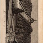 خرید و دانلود نسخه کامل کتاب Cassel [Kassel] in historisch-topographischer Hinsicht. Nebst einer Geschichte und Beschreibung von Wilhelmshöhe und seinen Anlagen