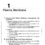 خرید و دانلود نسخه کامل کتاب Cell Biology and Histology