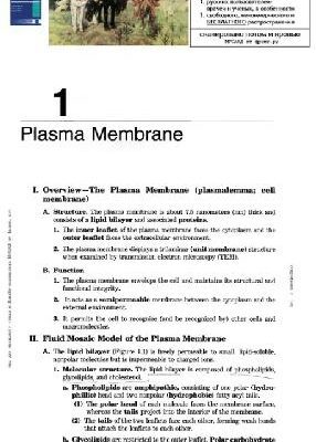 خرید و دانلود نسخه کامل کتاب Cell Biology and Histology