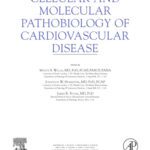 خرید و دانلود نسخه کامل کتاب Cellular and Molecular Pathobiology of Cardiovascular Disease