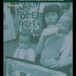 خرید و دانلود نسخه کامل کتاب Challenging Authoritarianism in Southeast Asia: Comparing Indonesia and Malaysia (Politics in Asia Series)