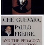 خرید و دانلود نسخه کامل کتاب Che Guevara, Paulo Freire, and the Pedagogy of Revolution