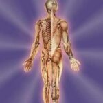 خرید و دانلود نسخه کامل کتاب Chi Nei Tsang III