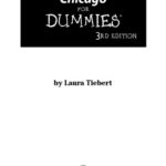 خرید و دانلود نسخه کامل کتاب Chicago For Dummies (Dummies Travel)