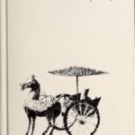 خرید و دانلود نسخه کامل کتاب China: A Country Study