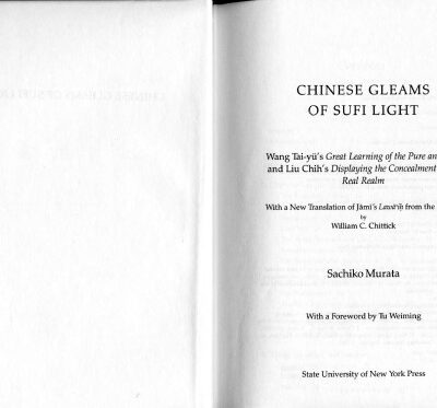 خرید و دانلود نسخه کامل کتاب Chinese Gleams of Sufi Light: Wang Tai-Yu’s Great Learning of the Pure and Real and Liu Chih’s Displaying the Concealment of the Real Realm