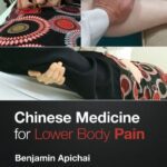 خرید و دانلود نسخه کامل کتاب Chinese Medicine for Lower Body Pain