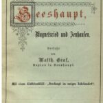 خرید و دانلود نسخه کامل کتاب Chronik von Sesshaupt, Magnetsried und Jenhausen
