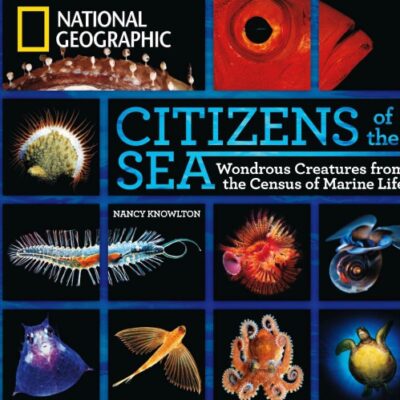 خرید و دانلود نسخه کامل کتاب Citizens of the sea : wonderous creatures from the census of marine life