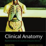 خرید و دانلود نسخه کامل کتاب Clinical Anatomy 11e