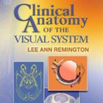 خرید و دانلود نسخه کامل کتاب Clinical Anatomy of the Visual System 2nd Edition