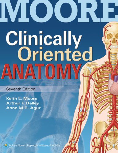 خرید و دانلود نسخه کامل کتاب Clinically Oriented Anatomy_68b9190506966.jpeg خرید و دانلود نسخه کامل کتاب Clinically Oriented Anatomy