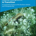 خرید و دانلود نسخه کامل کتاب Coastal Ecosystems in Transition: A Comparative Analysis of the Northern Adriatic and Chesapeake Bay