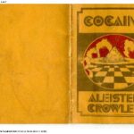 خرید و دانلود نسخه کامل کتاب Cocaine
