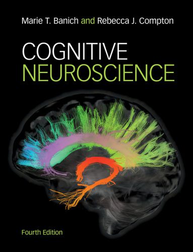 خرید و دانلود نسخه کامل کتاب Cognitive Neuroscience (4th Edition) BY Banich – Pdf_68b961c88785c.jpeg خرید و دانلود نسخه کامل کتاب Cognitive Neuroscience (4th Edition) BY Banich – Pdf