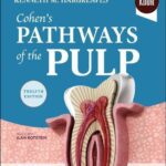 خرید و دانلود نسخه کامل کتاب Cohen’s Pathways of the Pulp
