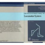 خرید و دانلود نسخه کامل کتاب Color Atlas and Textbook of Human Anatomy. Locomotor System