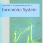 خرید و دانلود نسخه کامل کتاب Color Atlas and Textbook of Human Anatomy Vol 1: Locomotor System 5th Edition