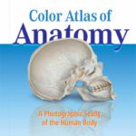 خرید و دانلود نسخه کامل کتاب Color Atlas of Anatomy: A Photographic Study of the Human Body, 7th Edition